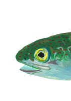 Trout Head- Green